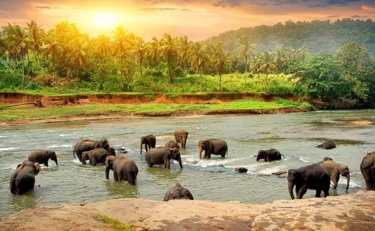 Kodaikanal Tour