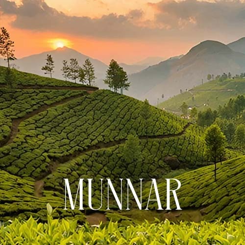 Madurai - Thekkady – Munnar Tour