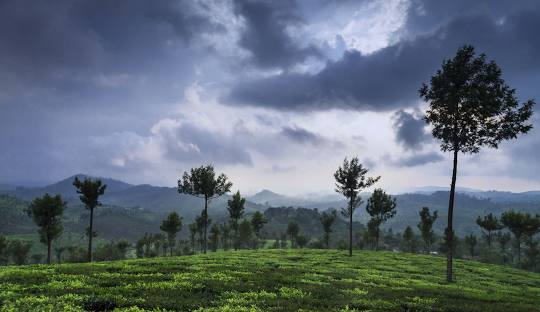 Valparai