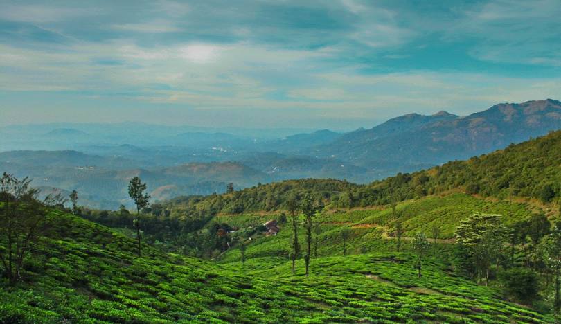 Wayanad Tour Packages from Madurai