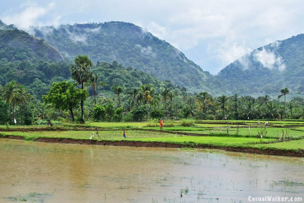 Courtallam_Kutralam-7